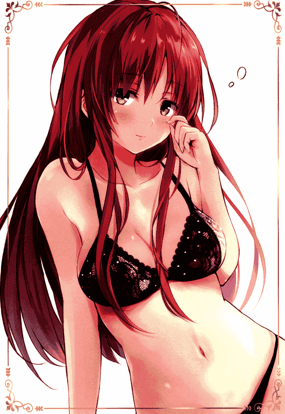 ZINFANDEL (ひゅらさん) Lingerie ＆ ruddy lady[20P]