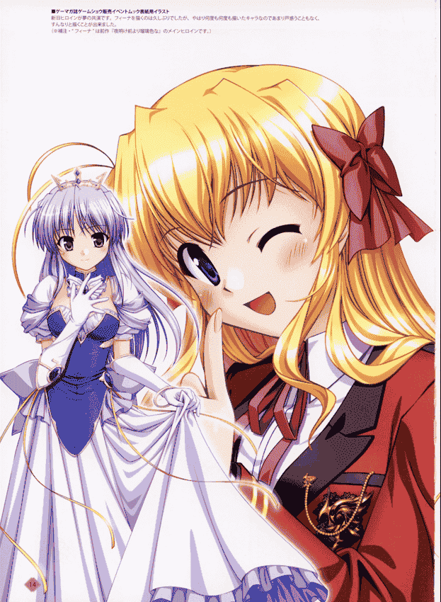 FORTUNE ARTERIAL CHRONICLE[115P]