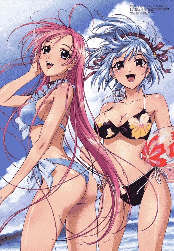 Megami Magazine 2009 插图包[250P]