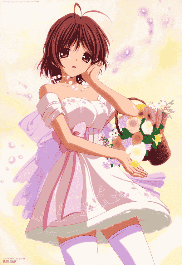 Megami Magazine 2009 插图包[250P]