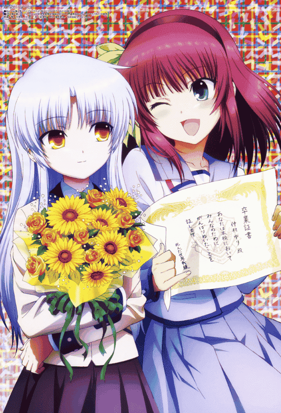 Megami Magazine 2010 插图包[238P]