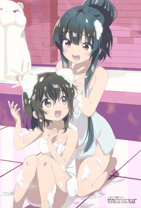 Megami Magazine 2021-01 插图包[18P]