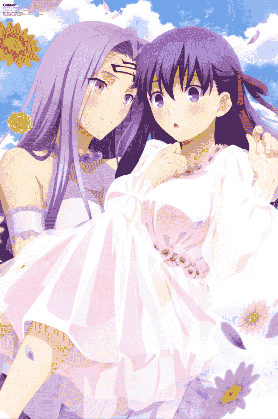 Megami Magazine 2020年 插图包[216P]