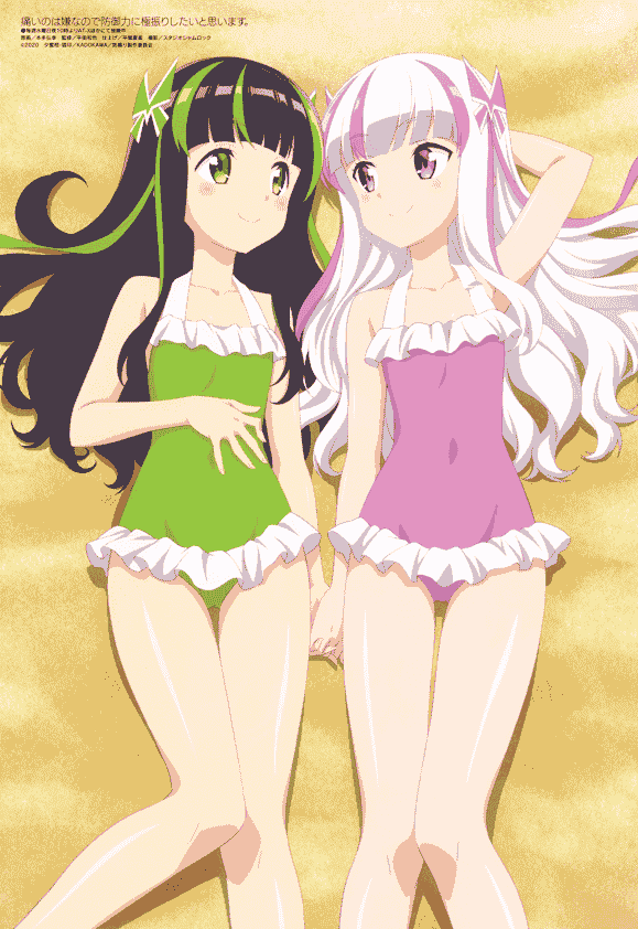 Megami Magazine 2020年 插图包[216P]