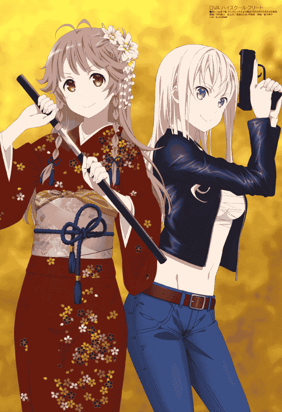 Megami Magazine 2017年 插图包[215P]