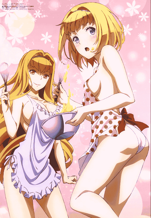 Megami Magazine 2016年 插图包[216P]