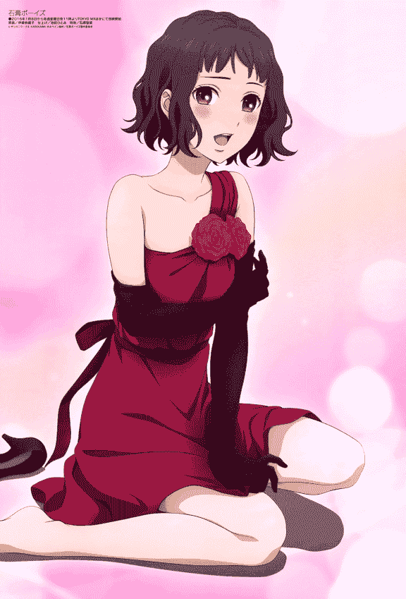 Megami Magazine 2016年 插图包[216P]