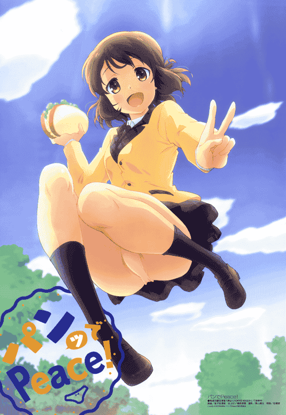 Megami Magazine 2016年 插图包[216P]