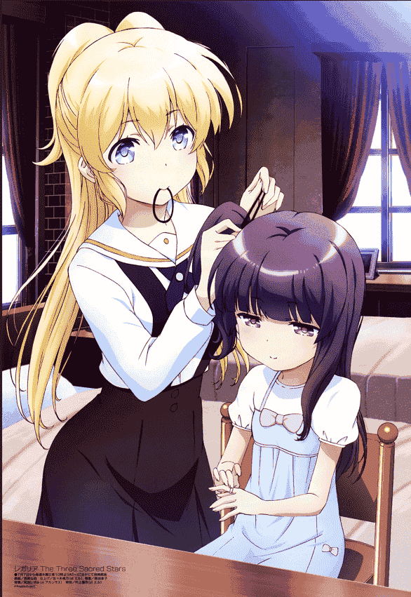 Megami Magazine 2016年 插图包[216P]