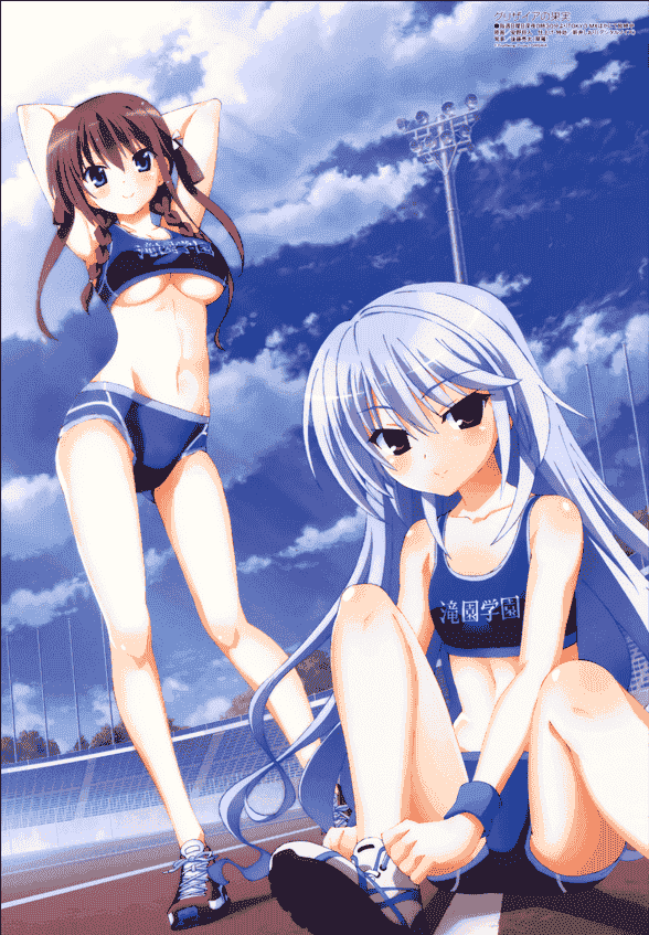 Megami Magazine 2015年 插图包[227P]