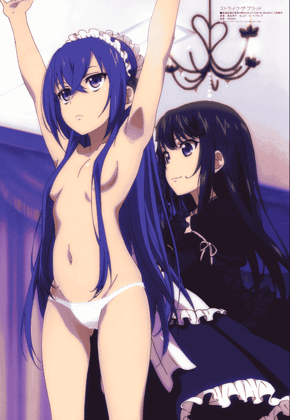 Megami Magazine 2014年 插图包[216P]
