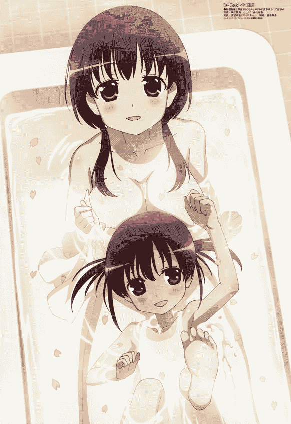 Megami Magazine 2014年 插图包[216P]