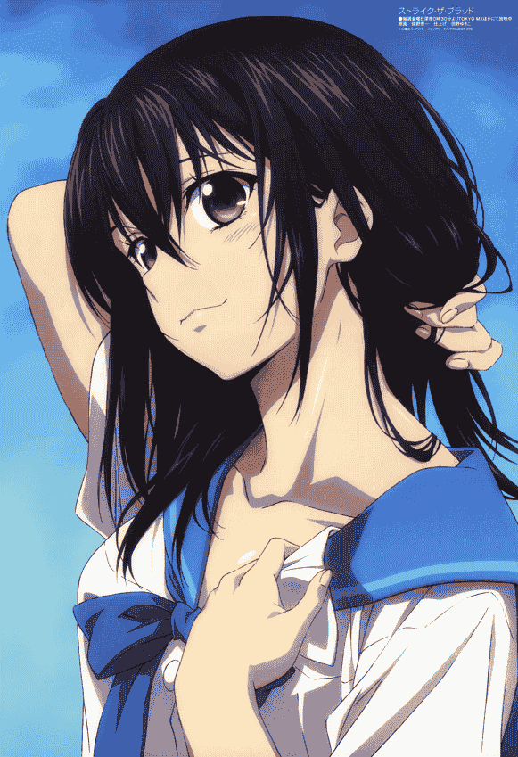 Megami Magazine 2014年 插图包[216P]
