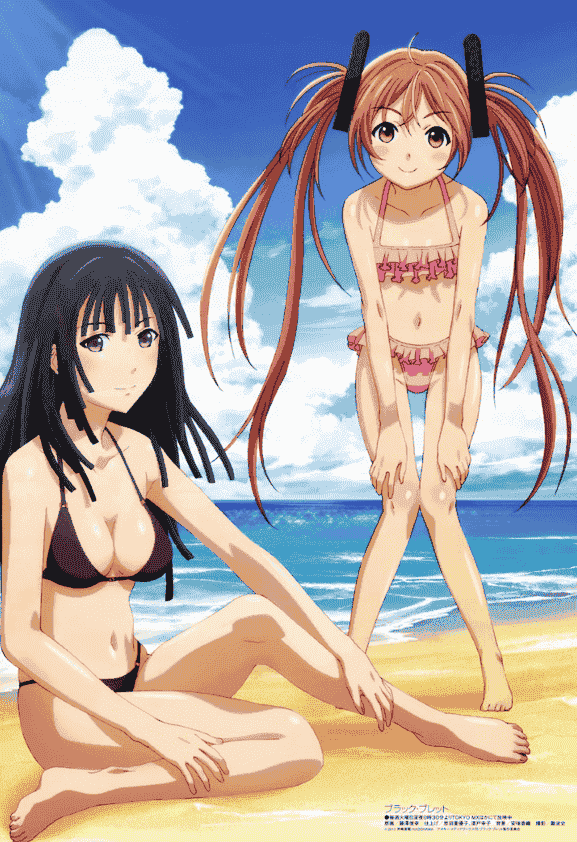 Megami Magazine 2014年 插图包[216P]