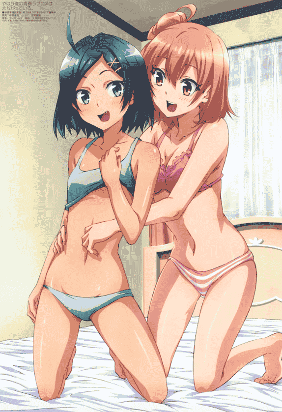 Megami Magazine 2013年 插图包[219P]