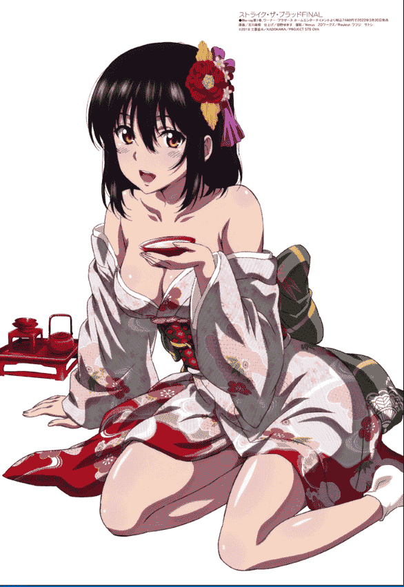 Megami Magazine 2022-02 插图包[18P]