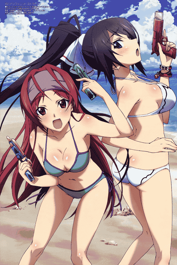 Megami Magazine 2012 插图包[224P]