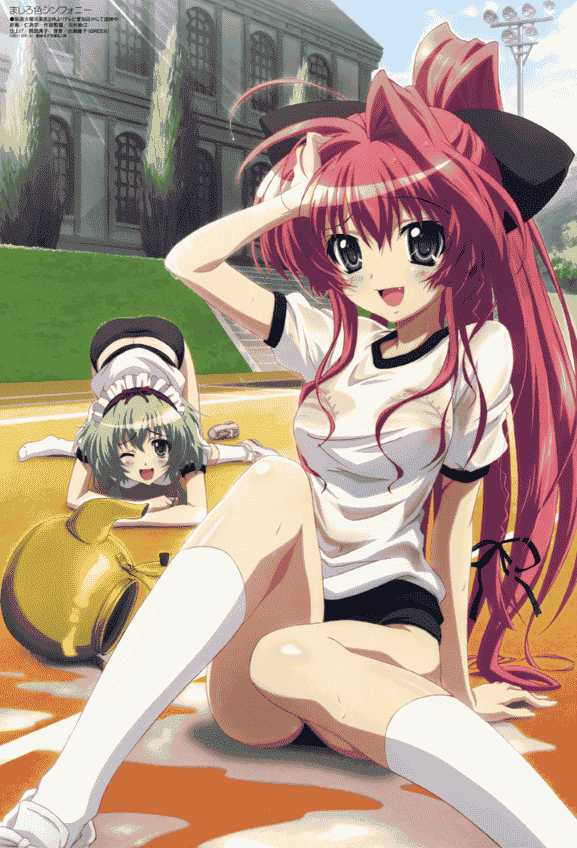 Megami Magazine 2012 插图包[224P]