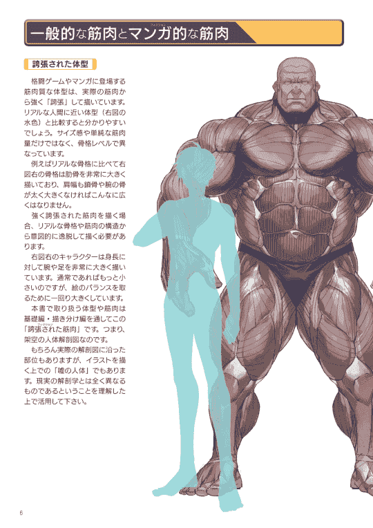 日文 强壮肌肉的画法[148P]