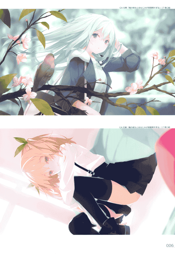 るろお イラストレーションズ[211P]