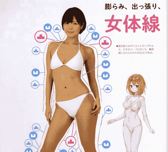 日文女体的凸凹图鉴 由脂肪和汗毛形成的阴影和曲线[154P]
