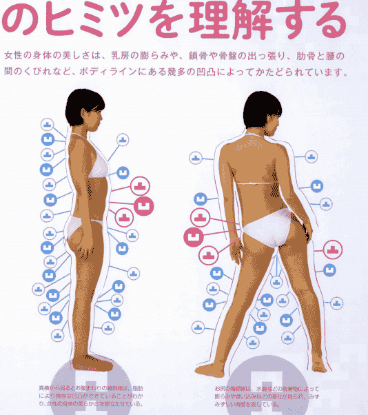 日文女体的凸凹图鉴 由脂肪和汗毛形成的阴影和曲线[154P]