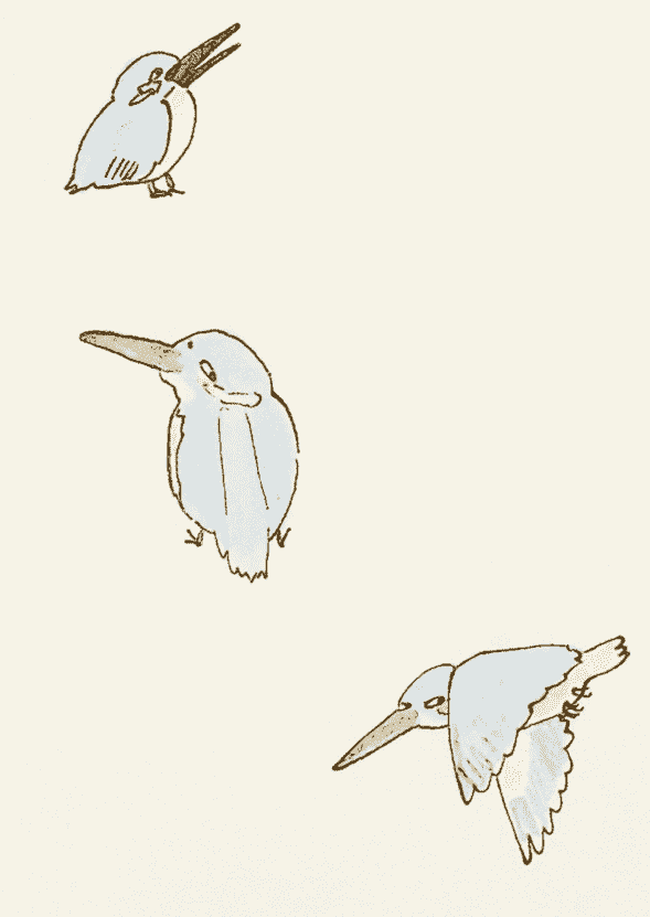 磯﨑菜那(isozaki_nana) 推特图片包[339P]