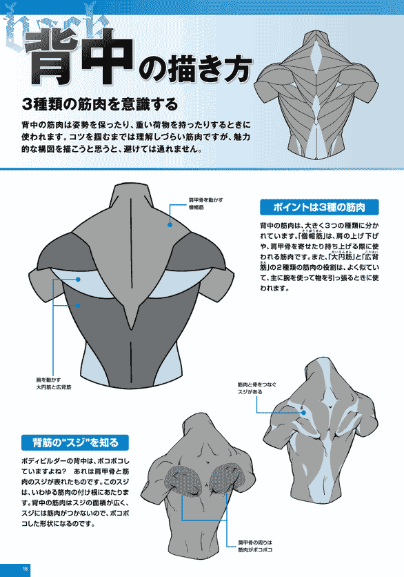 日文 令人着迷的男性肌肉的画法[114P]