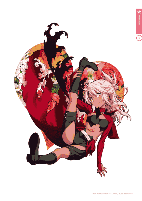 TYPE-MOON Hiroyama Hiroshi Artbook PRISMA☆STARS[67P]