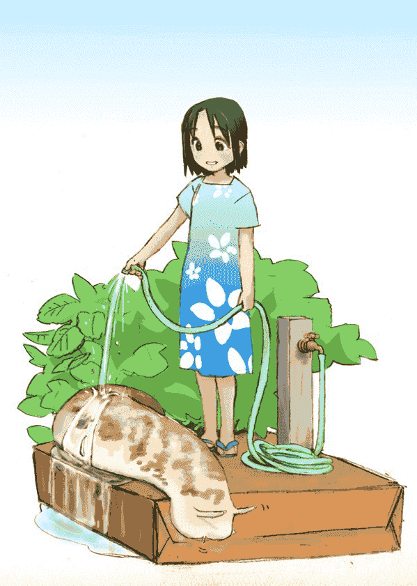 赤井さしみ(sas_akai) Pixiv图片包[467P]