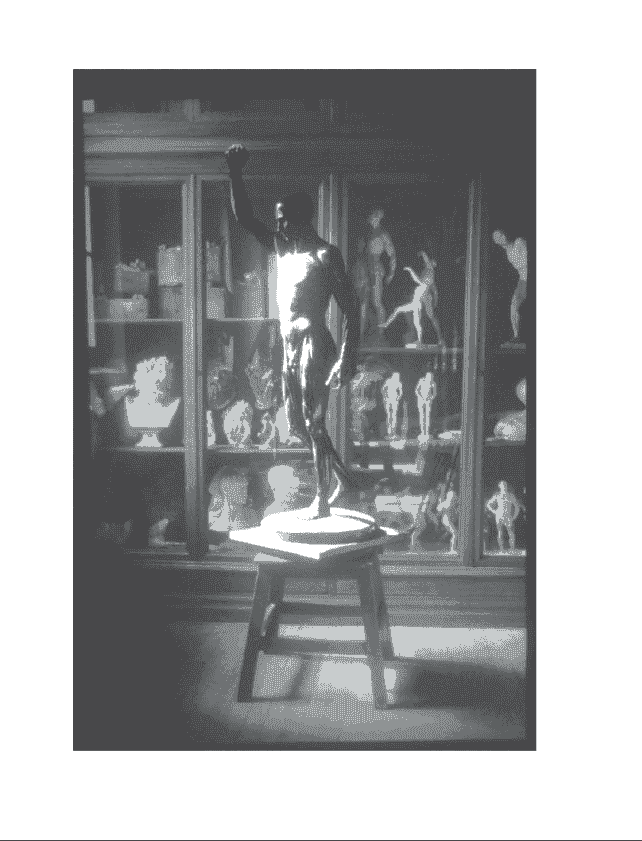英文 Morpho艺用解剖学系列8册[1141P]