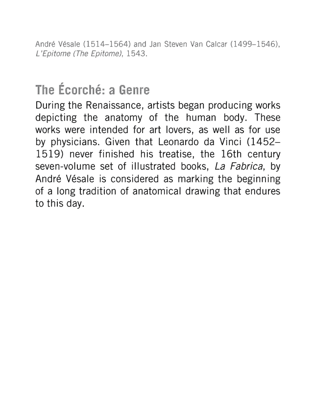 英文 Morpho艺用解剖学系列8册[1141P]