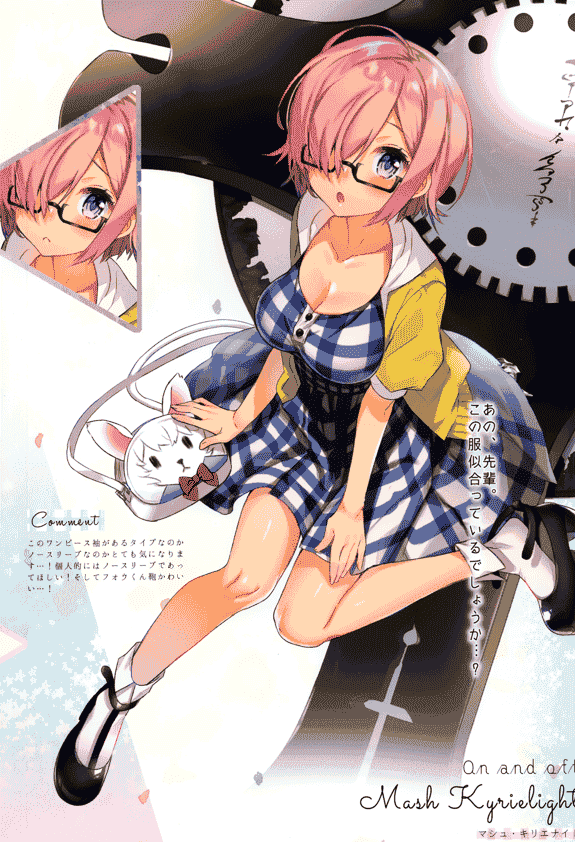 Lunatic＊Maiden (ぽるのいぶき) FGOイラスト集 Marshmallow Candy[12P]