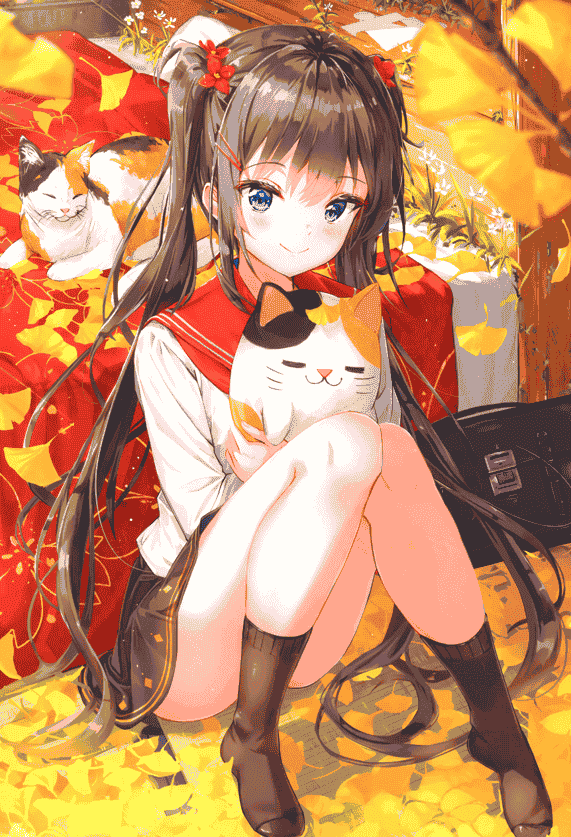 柑橘少女 (なきょ) irodori sekai[12P]
