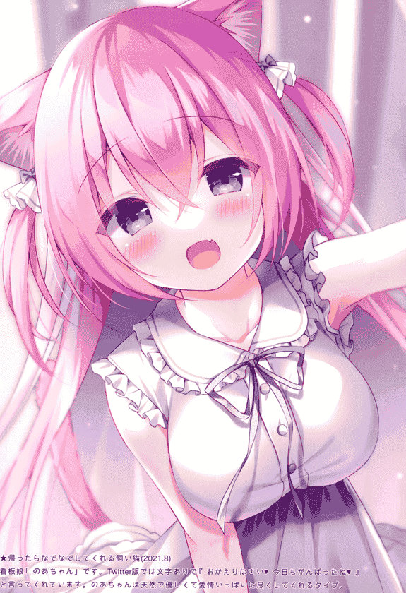 Cheer up! (桃稚ちあ) CHIACOLLE 4[19P]