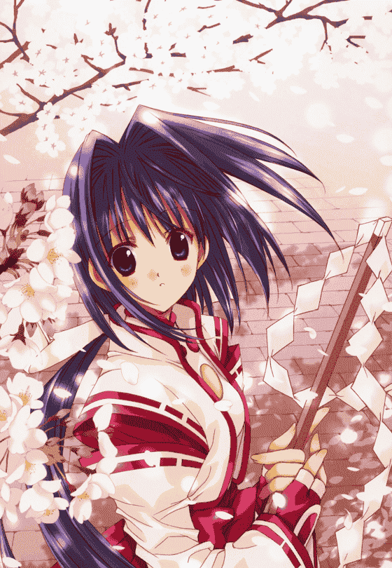 七濑葵(七瀬葵) SEVEN COLORS of the WIND[102P]