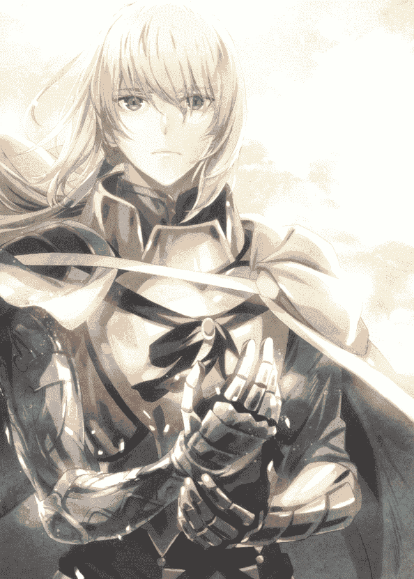 Fate/Grand Order 剧场版 神圣圆桌领域卡美洛 前后篇 画集+设定集[211P]