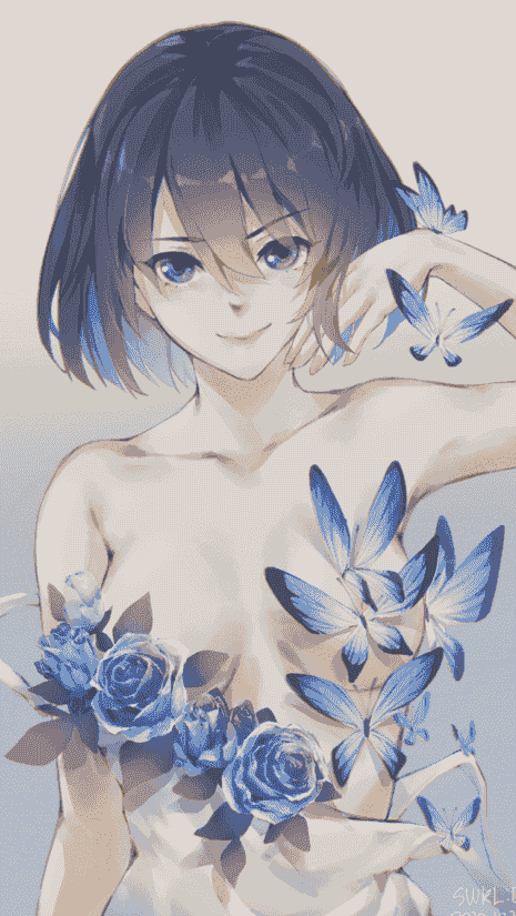 SWKL:D Pixiv图片包[172P]