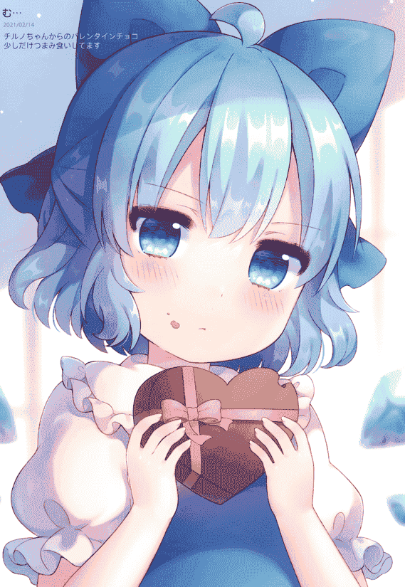 kuronecoarts (coa) cirno memorie[16P]
