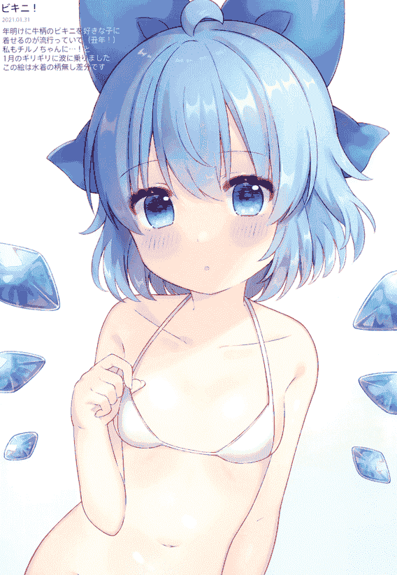kuronecoarts (coa) cirno memorie[16P]