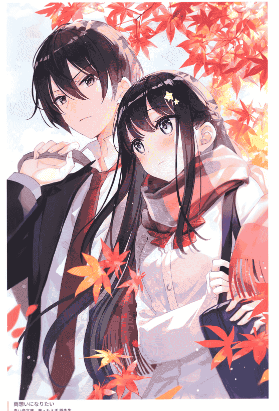 ラジアルエンジン (ふーみ) LOG[28P]