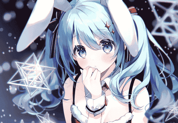 Chilly polka (すいみゃ) Twin Terrarium 2021Winter[14P]