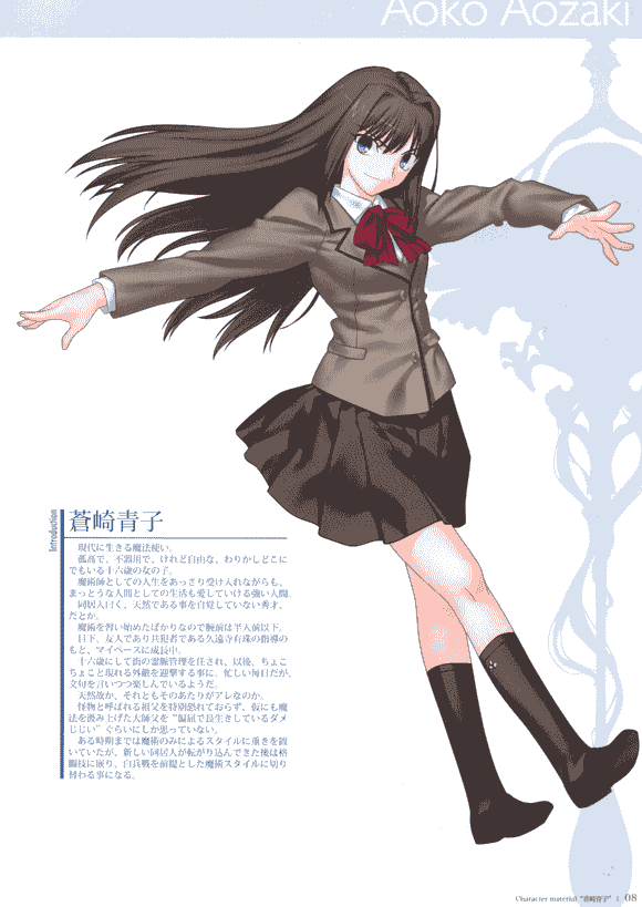 TYPE-MOON Character material 中日双版本[80P]