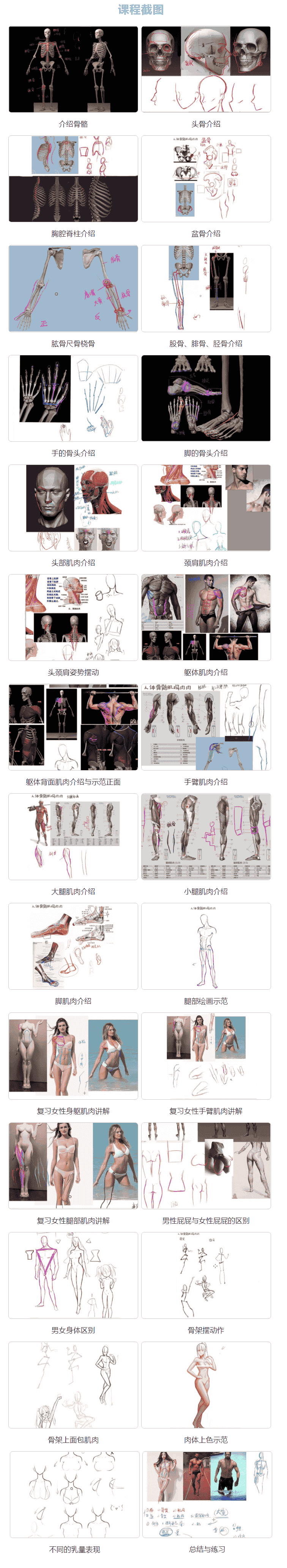 【轻微课】手绘动漫人物教程之骨骼与肌肉画法