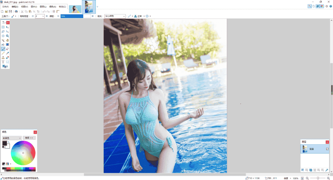 Paint .NET 