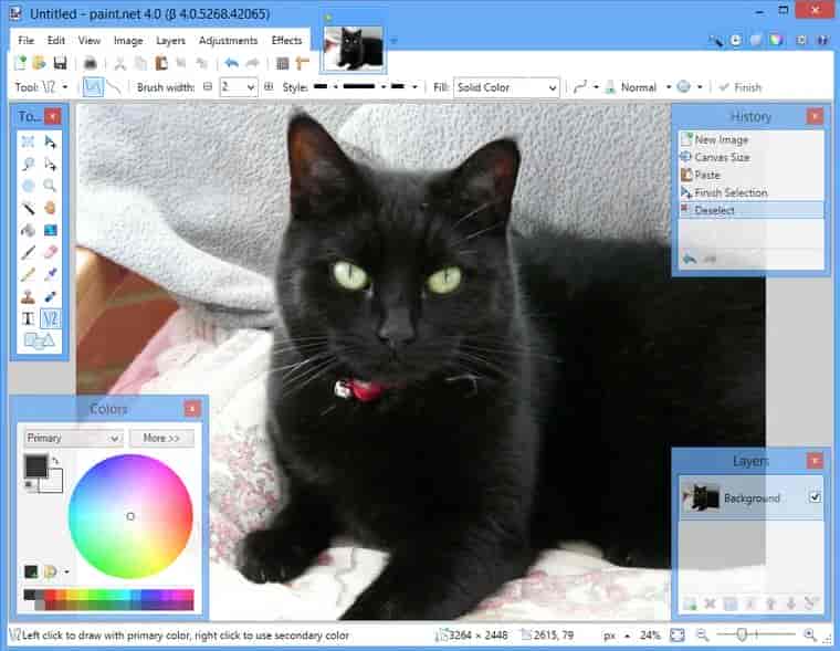 Paint .NET 