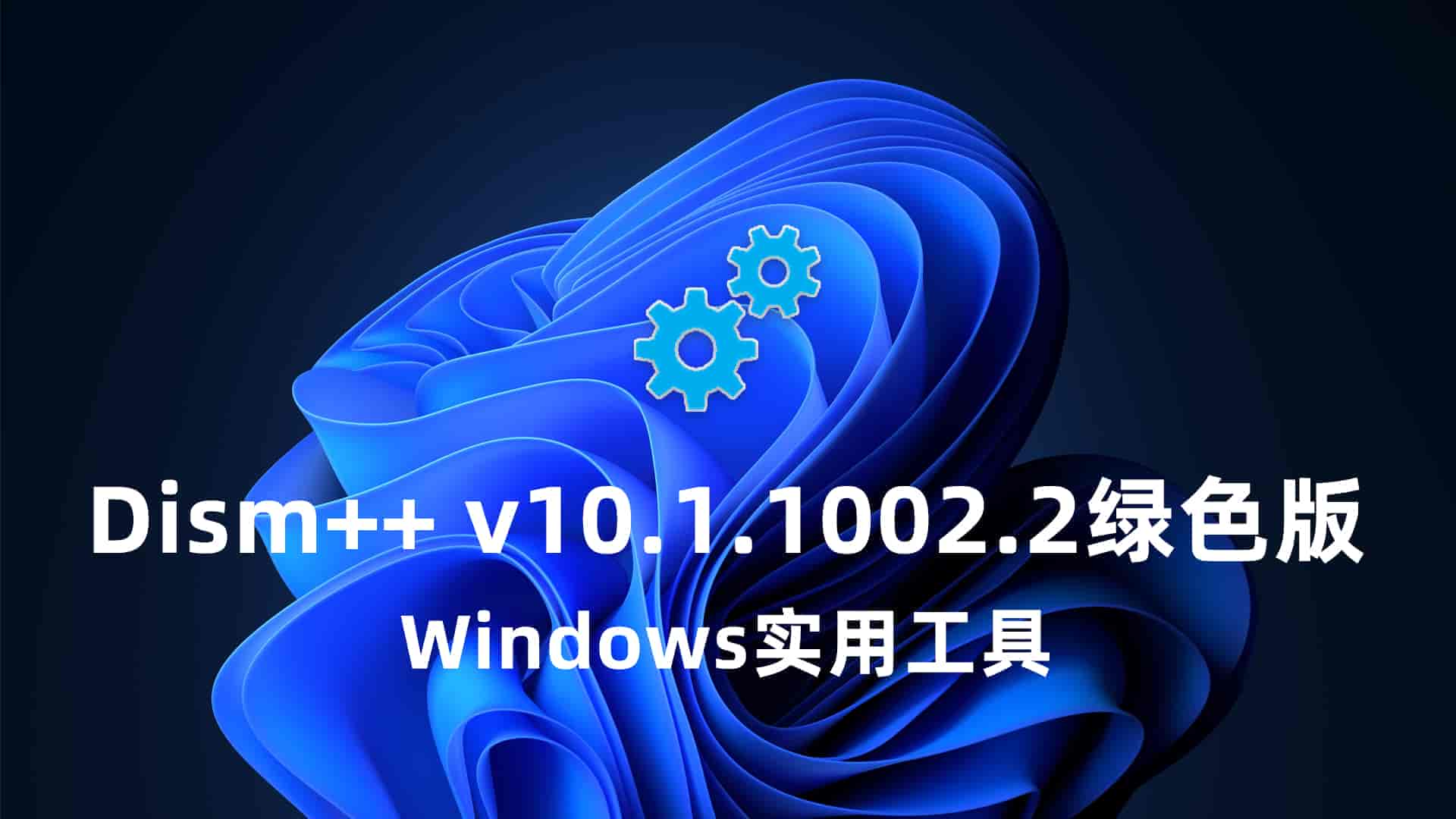 Dism++ v10.1.1002.2绿色版