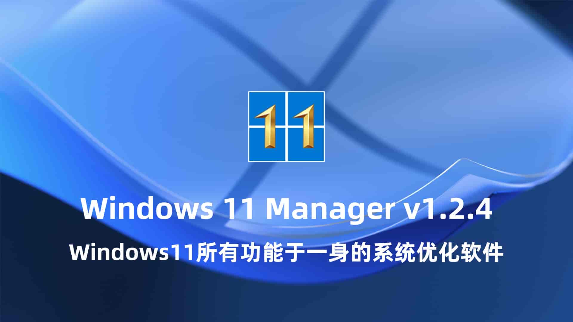 Windows 11 Manager