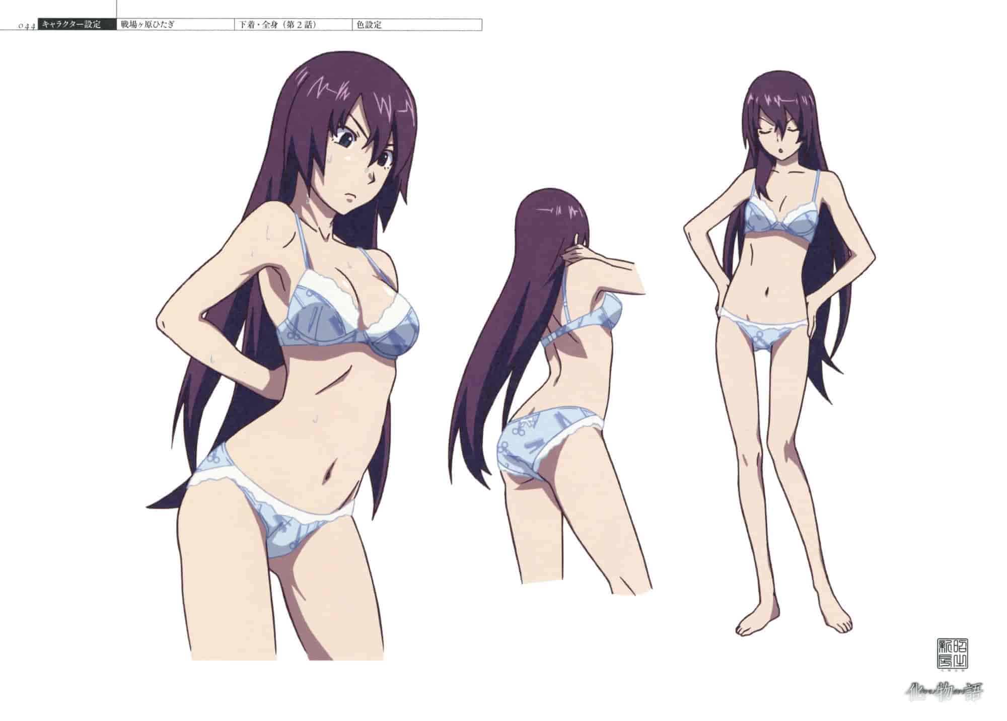 Bakemonogatari Production Notes Readable Edition