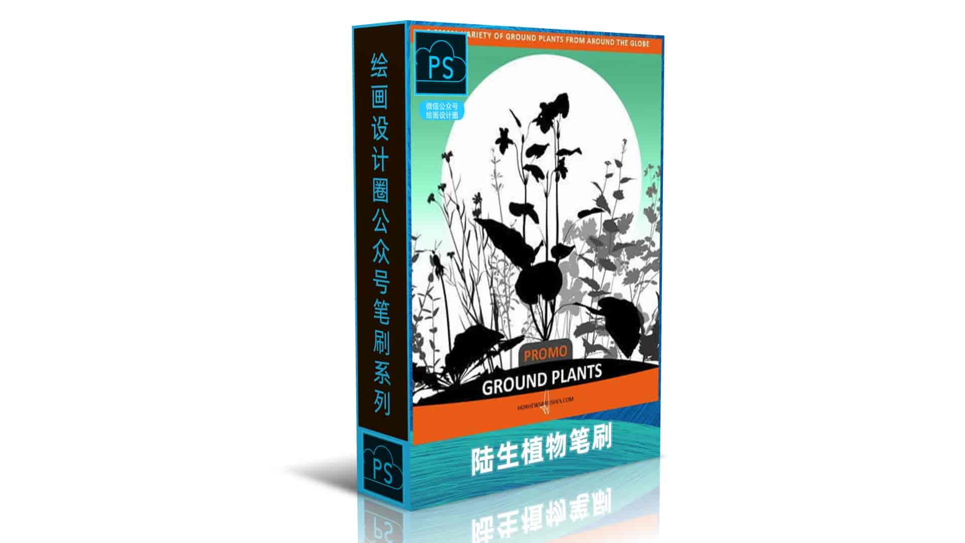 陆生植物笔刷
